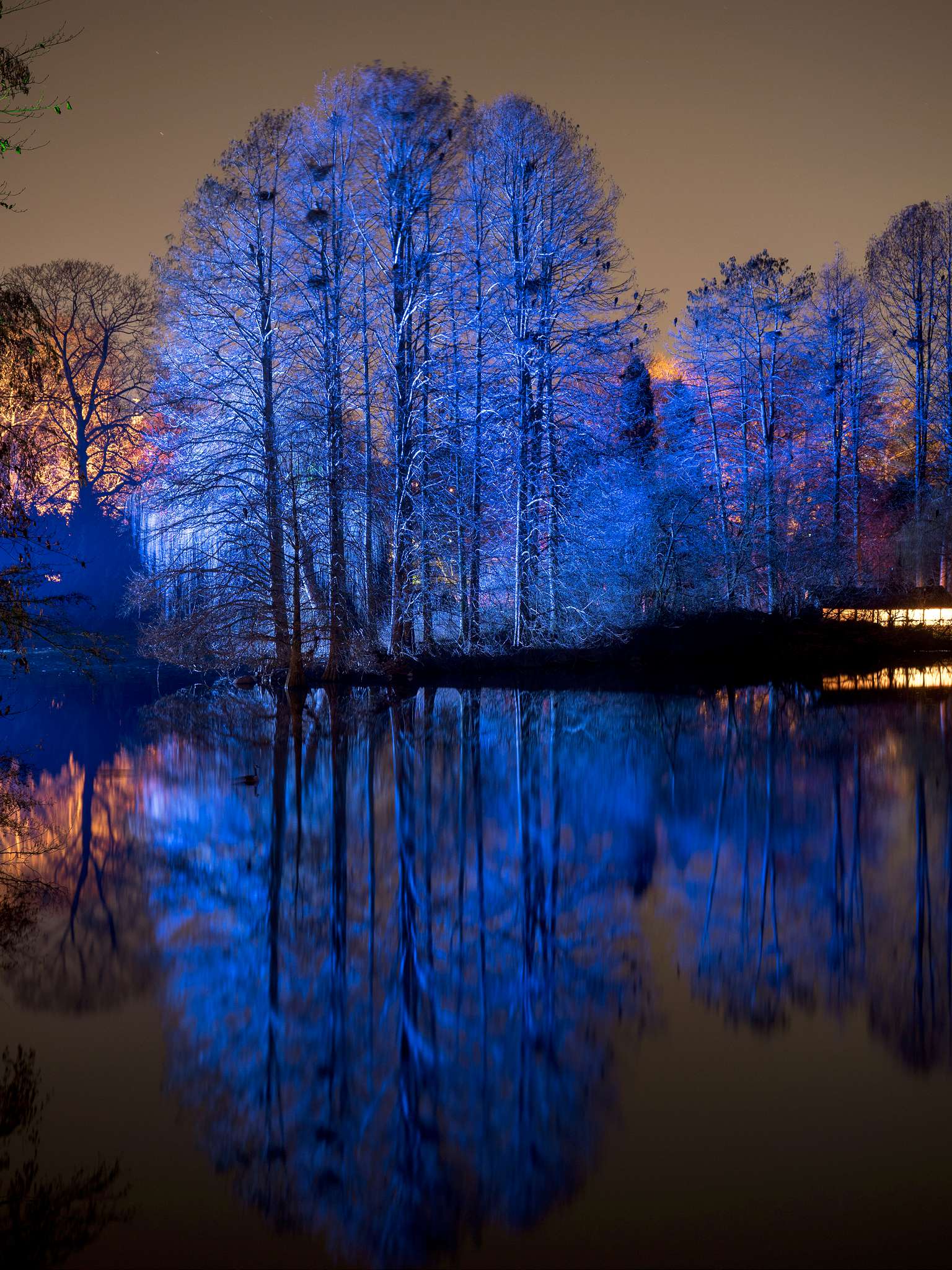 Winterlichter 2018 / 5